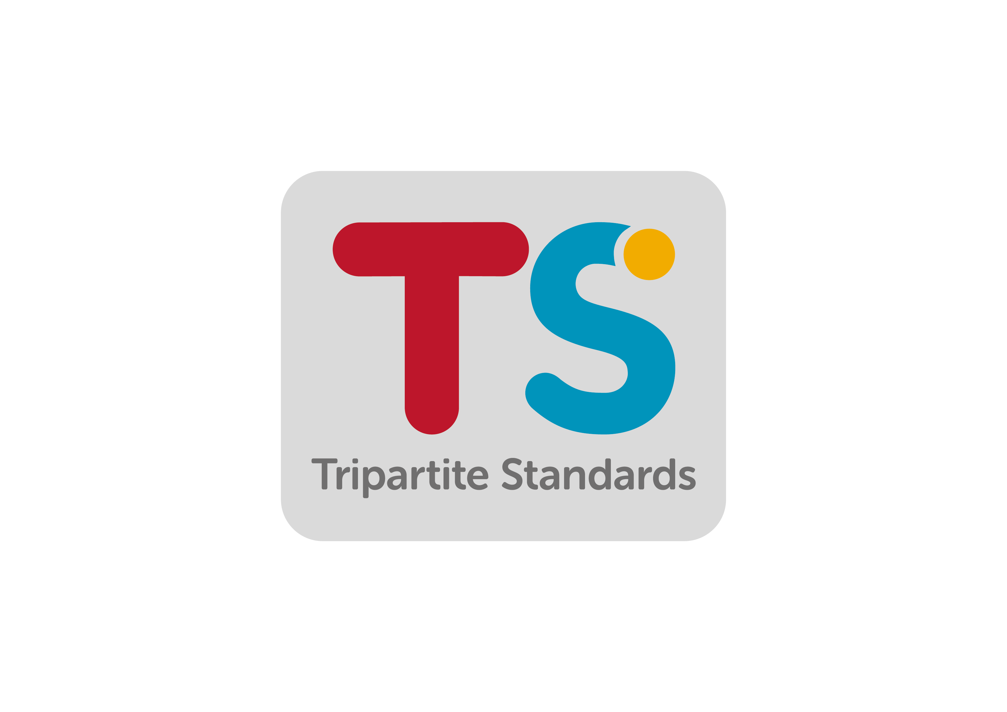 TSMaster